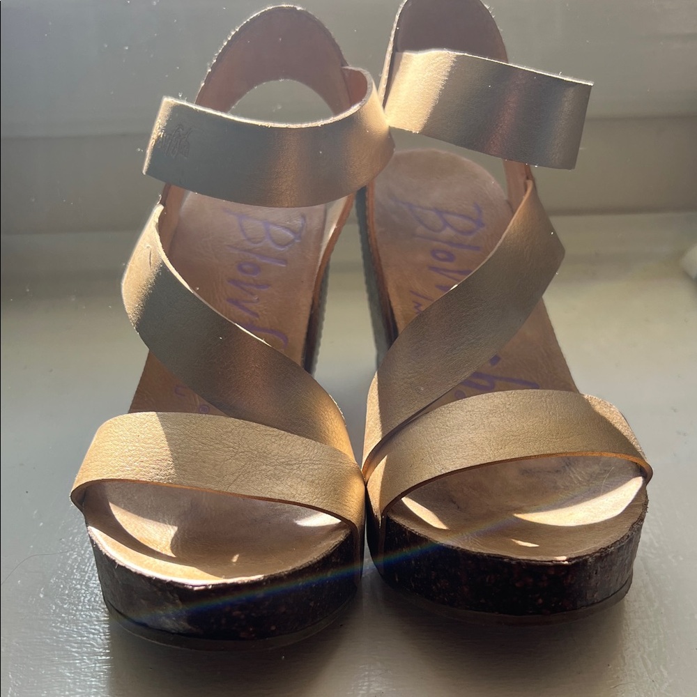 Blowfish Malibu “Hapuku”  platform sandal